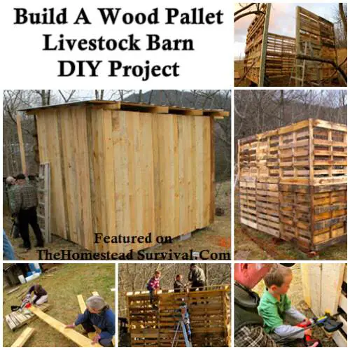 The Building of a Wood Pallet Goat Barn DIY Project | The Homestead 