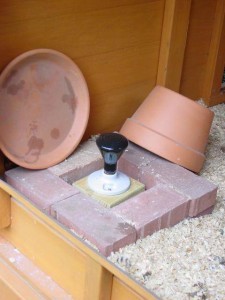 different DIY heaters to keep the chicken's water from freezing 