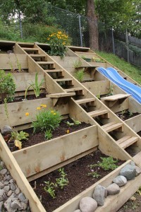How To Build Terrace Garden Beds on a Hillside Project | The Homestead 