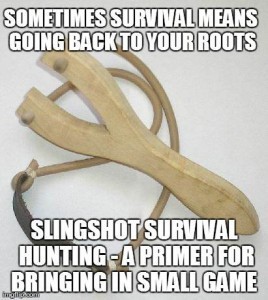 Hunting for big game with a slingshot