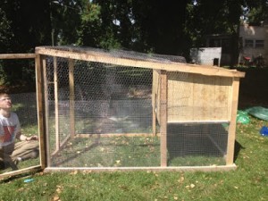 How to Build a Chicken Tractor Coop on a Shoestring Budget DIY Project ...