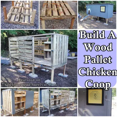 Build a Lone Grove Wood Pallet Chicken Coop | The Homestead Survival