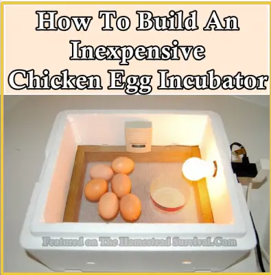 How To Build An Inexpensive Chicken Egg Incubator | The Homestead 
