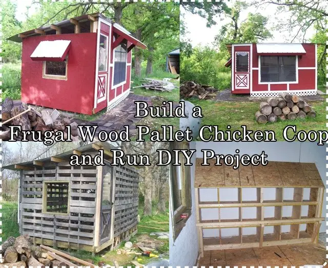 Build a Frugal Wood Pallet Chicken Coop and Run DIY ...