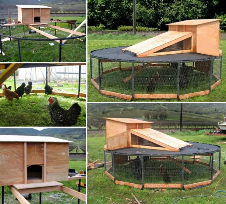 Chicken Coop Made From A Trampoline Frame