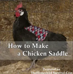 How To Make a Chicken Saddle