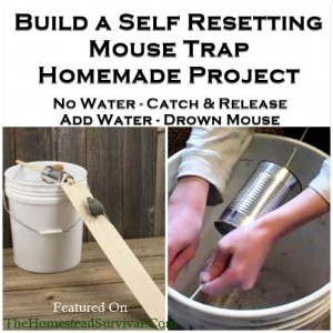 Build a Self Resetting Mouse Trap Homemade Project