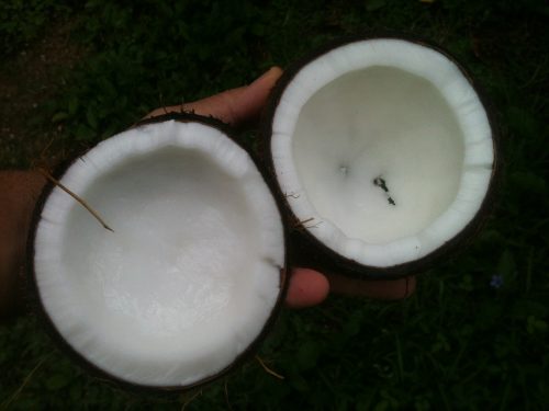 Coconut Oil Uses and Benefits