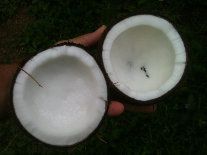 Coconut Oil Uses and Benefits