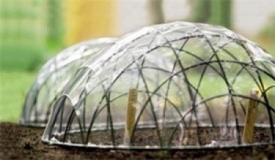 How To Make A Cloche Mini Greenhouse For Seeds Diy Project