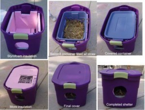DIY Easy , Inexpensive Shelter for Outdoor or Stray Cats