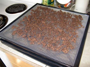 How To Dehydrate Hamburger for Long Term Meat Storage