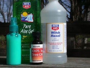 A HomeMade Anti Itch Lotion Recipe For Dogs
