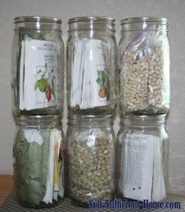 how-to-store-seeds