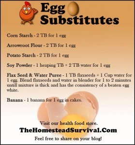Egg Substitutes