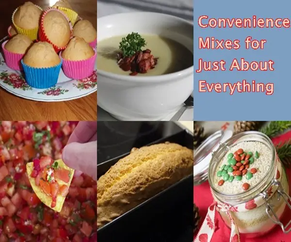 Convenience Mixes for Just About Everything