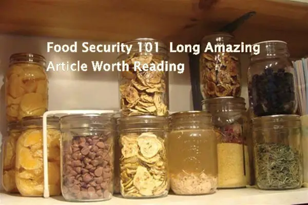 Food Security 101 Long Amazing Article Worth Reading
