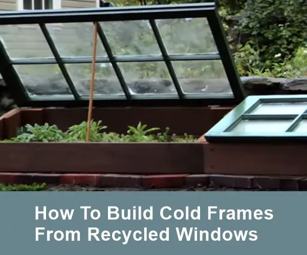 How To Build Cold Frames From Recycled Windows