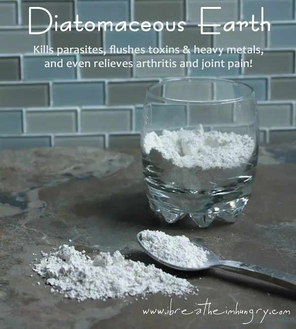 The Many Health Benefits of Diatomaceous Earth