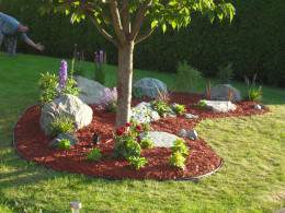 Diy Landscaping Around Trees, Landscaping Around Trees With Rocks