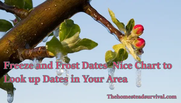 Freeze and Frost Dates Nice Chart to Look up Dates in Your Area