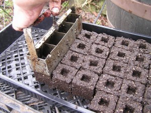 Making Soil Blocks For Seed Starting