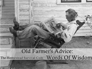 Old Farmer's Advice: Words Of Wisdom