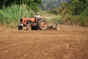 http://www.publicdomainpictures.net/view-image.php?image=9121&picture=farmer-on-tractor