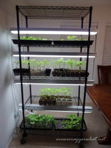 Building A Seed Growing Rack On The Cheap