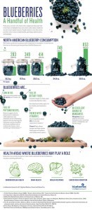 blueberry-infographic-a-handful-of-health