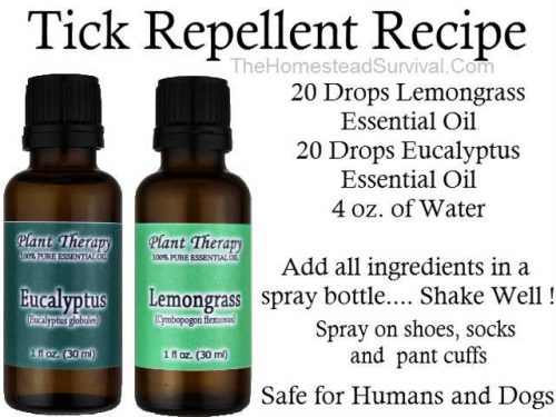 Tick Repellent Recipe & How To Remove A Tick