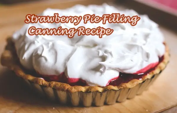 Strawberry Pie Filling – Canning Recipe