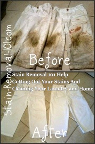 Stain Removal 101 Help Getting Out Your Stains And Cleaning Your ...