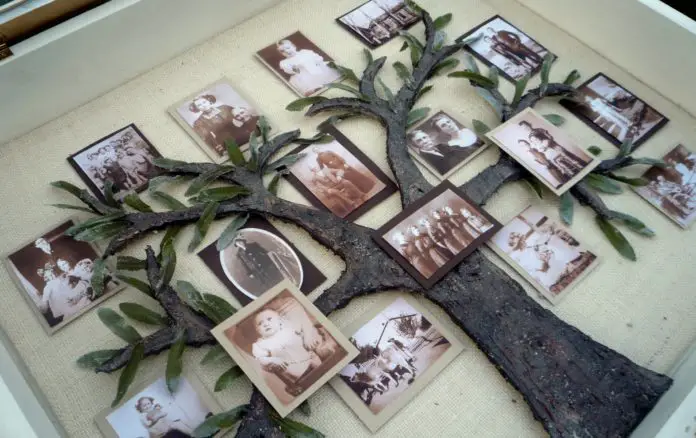 How To Make A Family Tree Picture Shadow Box Project