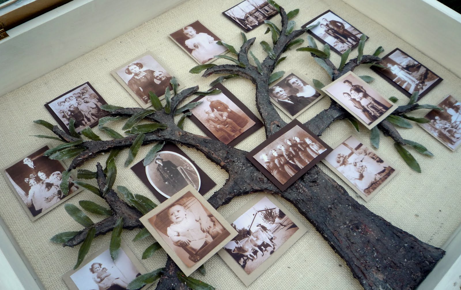 How To Make A Family Tree Picture Shadow Box Project