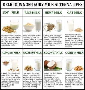 Non Dairy Milk Alternatives