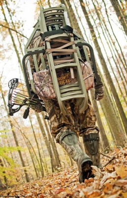 Deer Hunting Tips: When to Move Your Stand