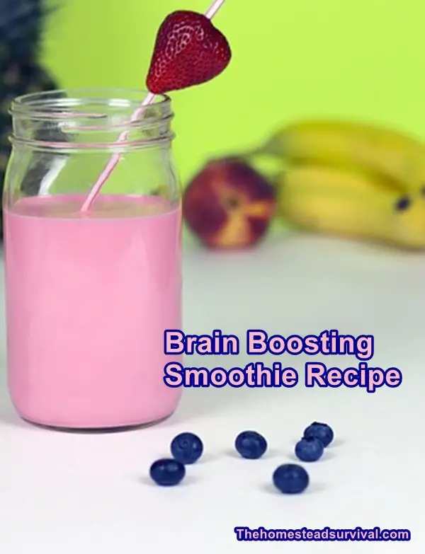 Brain Boosting Smoothie Recipe
