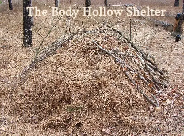 The Body Hollow Shelter