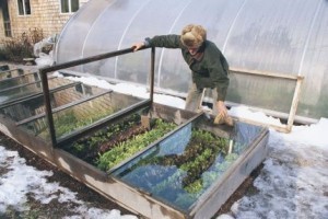 Cold Frame Gardening Project  - Grow Right Through Winter