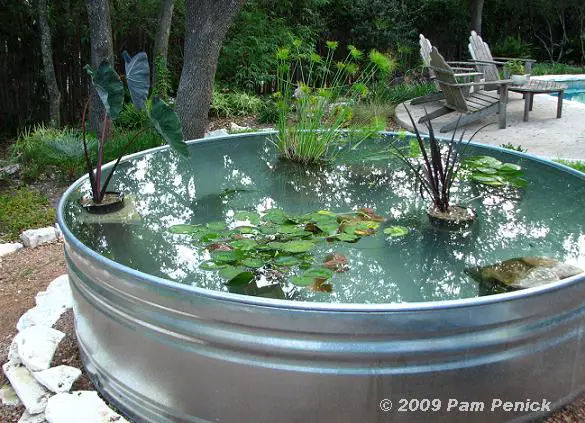 make a container pond in a stock tank