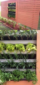 Homemade Vertical Gardening Box