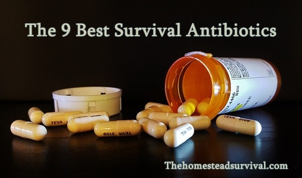 The 9 Best Survival Antibiotics