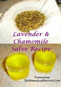 Lavender and Chamomile Salve