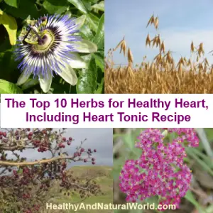 Healthy Heart Herbs