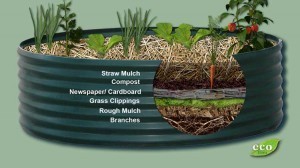Permaculture Raised Garden Beds