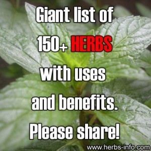 photo credit herbs-info.com