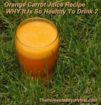 Orange Carrot Juice Recipe- WHY It Is So Healthy To Drink ?