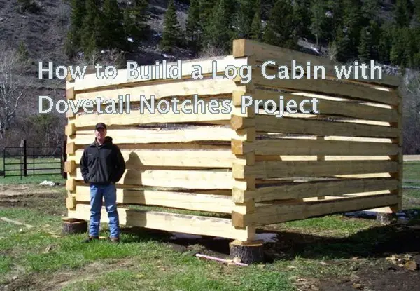 How to Build a Log Cabin with Dovetail Notches Project