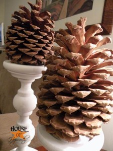 Bake The Bugs Out Of Your Pine Cones